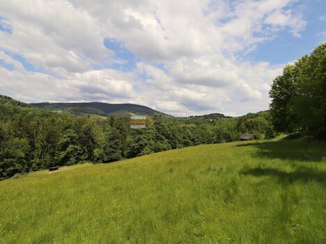 Prodej louky, 25.404 m2, Benecko - Dolní Štěpanice